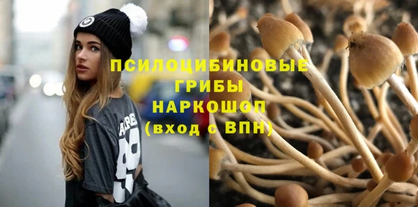 первитин Абинск