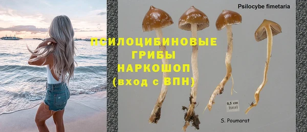МДПВ Алексин